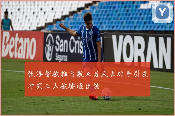张淳智被推飞数米后反击对手引发冲突三人被驱逐出场
